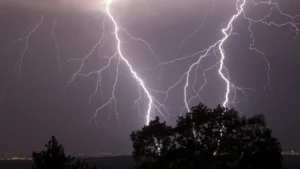Tree Damage From Lightening Strikes