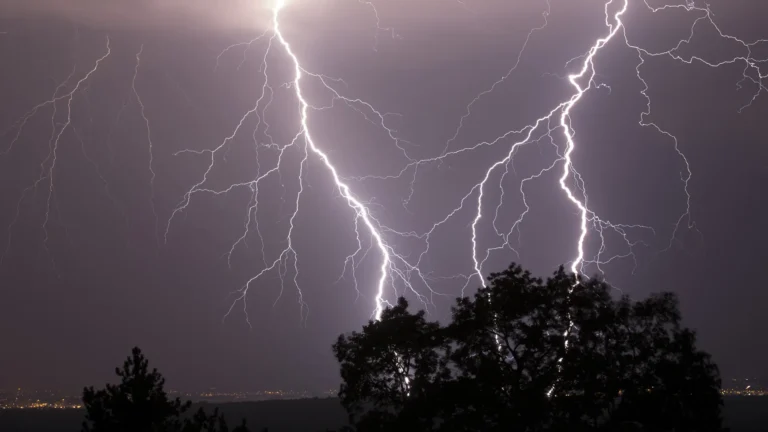 Tree Damage From Lightening Strikes