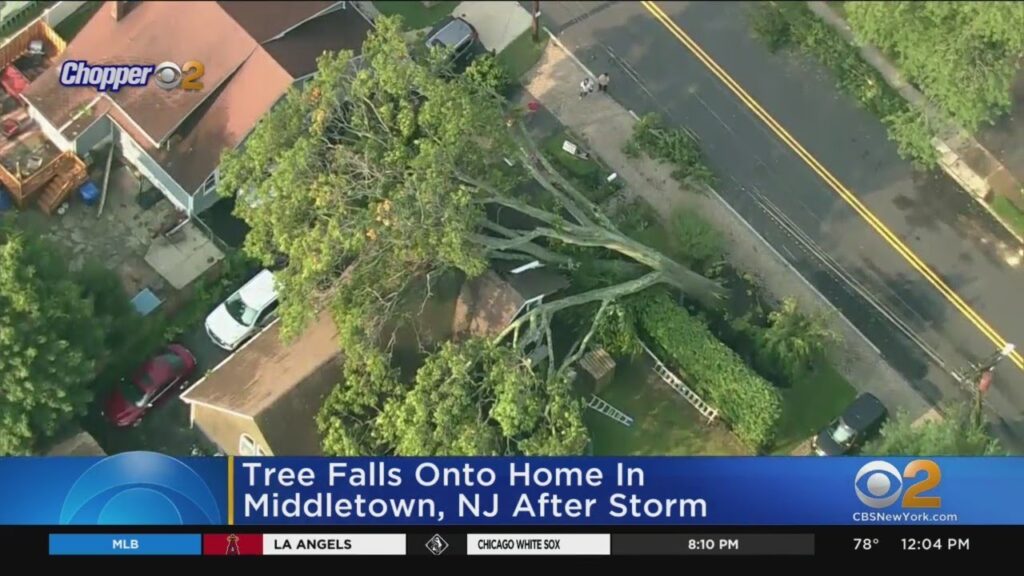 Tree Fell On Home