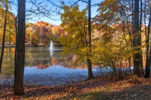 Schedule A Tree Inspection Near Manalapan NJ