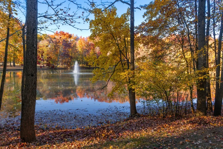 Schedule A Tree Inspection Near Manalapan NJ
