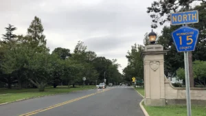 Lightning Strike Tree Damage in Interlaken NJ