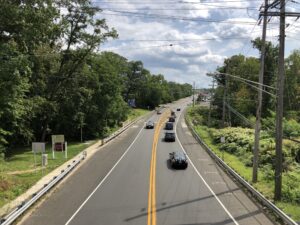 Tree Restoration in Aberdeen NJ: Bay Winds, Old Wounds, and Wires