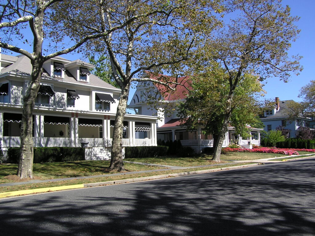Root Flare Care in Allenhurst NJ: Mulch, Grade, and Historic Street Trees