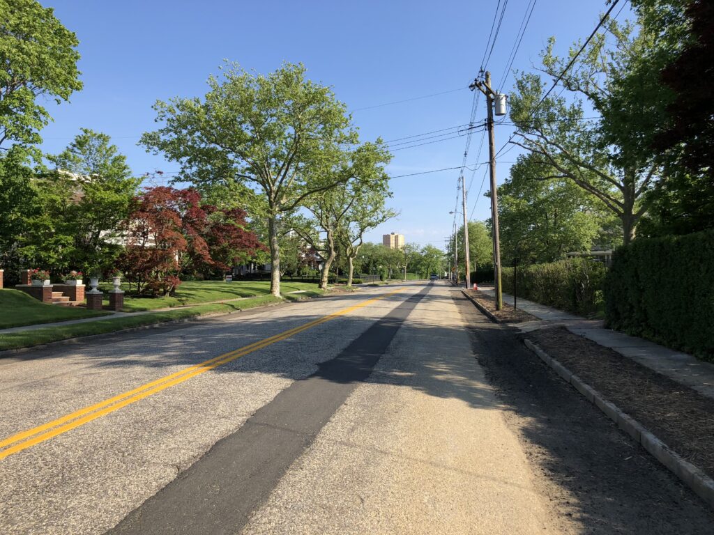 Fall Tree Care in Allenhurst NJ: Salt, Wind, and Root Zones Before Winter