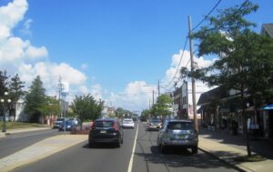 Tree Risk Evaluation in Avon-by-the-Sea NJ: Check Small Lot Trees Before Winter