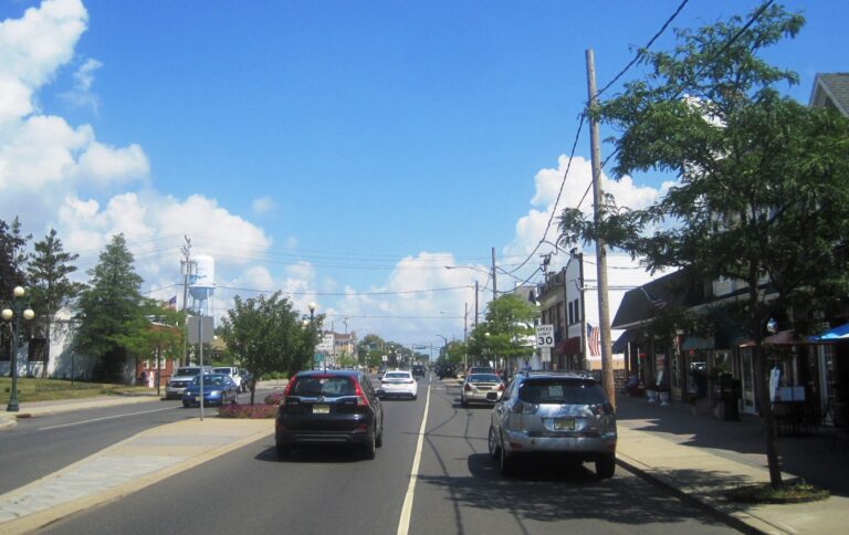 Tree Risk Evaluation in Avon-by-the-Sea NJ: Check Small Lot Trees Before Winter