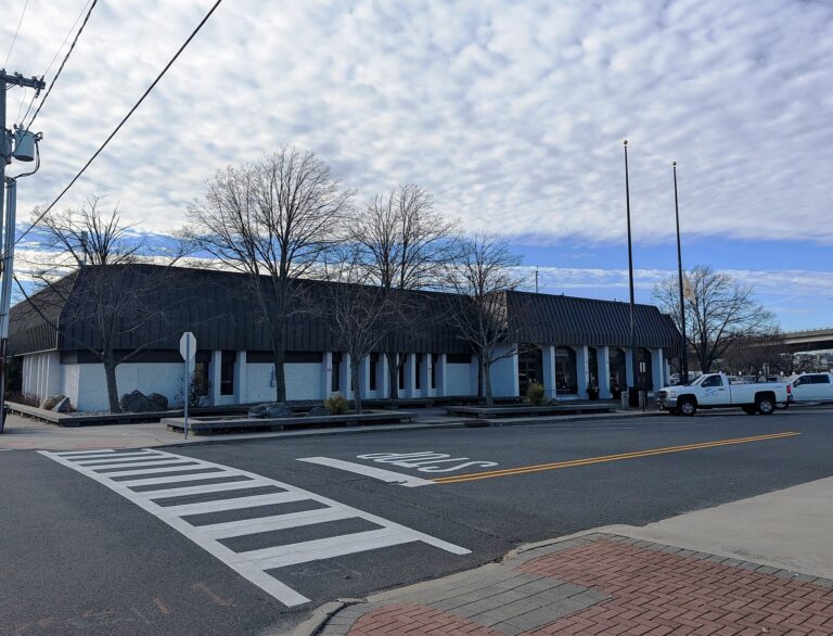 Tree Removal in Belmar NJ: Street Trees, Permits, and Planting Strips