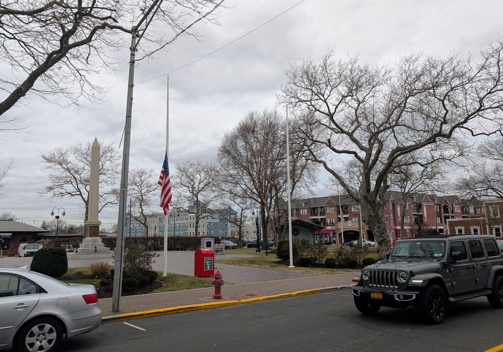 Tree Restoration in Bradley Beach NJ: Repair Damaged Trees Before Winter