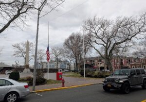 Tree Restoration in Bradley Beach NJ: Repair Damaged Trees Before Winter