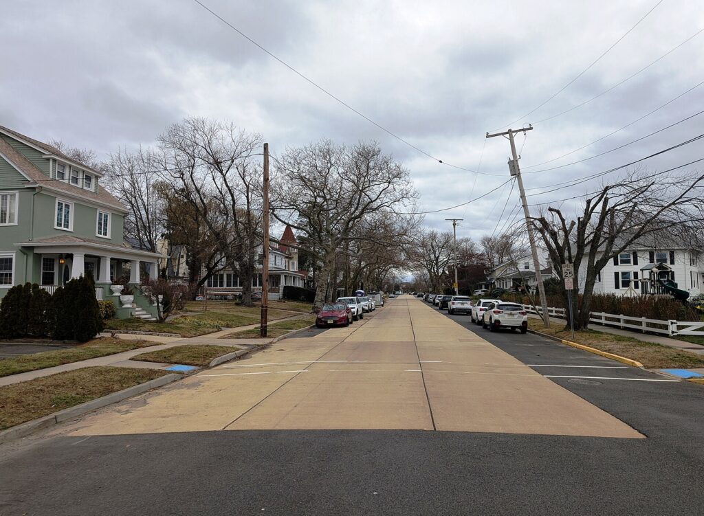 Tree Storm Proofing in Loch Arbour NJ: Check Roots, Unions, and Limbs