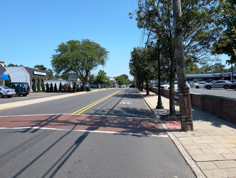 Tree Health in Fair Haven NJ: Norway Maples, Red Oaks, and Fall Root Care