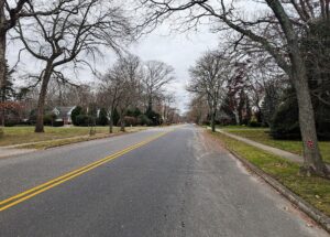 Tree Removal in Interlaken NJ: Know the Borough Notice Rules First