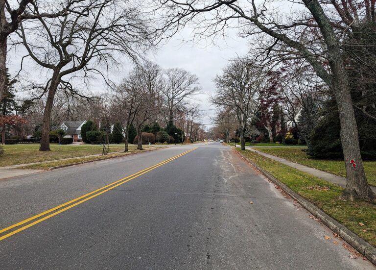 Tree Removal in Interlaken NJ: Know the Borough Notice Rules First