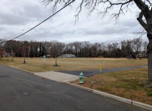 Winter Tree Preparation in Interlaken NJ: Snow Load, Salt, and Deal Lake