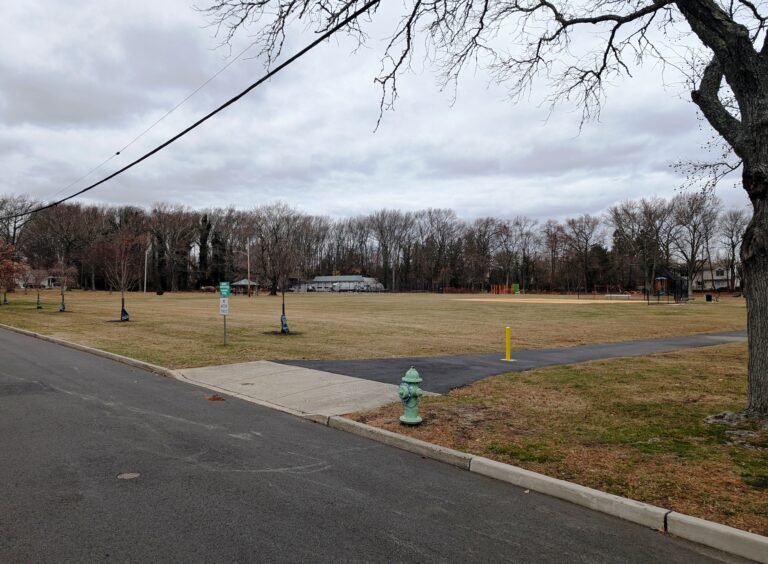 Winter Tree Preparation in Interlaken NJ: Snow Load, Salt, and Deal Lake