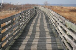 Fall Storm Proofing in Keansburg NJ: Prepare Trees Before Winter