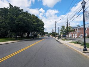 Tree Health in Little Silver NJ: Protect Roots and Follow Borough Rules