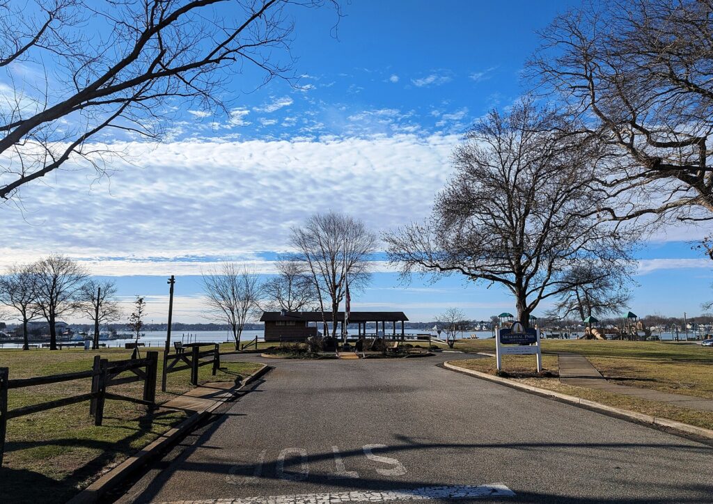 Tree Trimming in Neptune City NJ: Fall Pruning Before Winter Weather