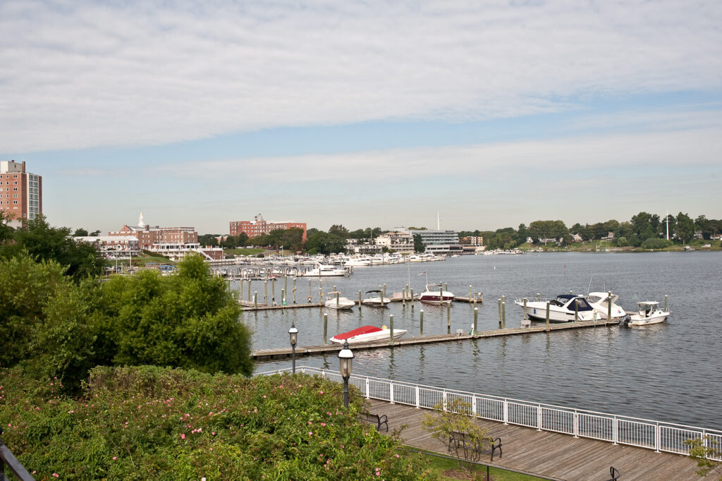 Tree Risk Evaluation in Red Bank NJ: Check Borough and Yard Trees Before Winter