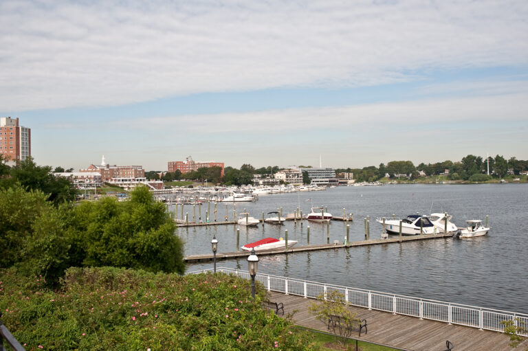 Tree Risk Evaluation in Red Bank NJ: Check Borough and Yard Trees Before Winter