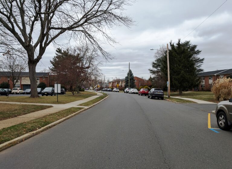 Tree Trimming in Shrewsbury Township NJ: Close Lots, Shared Canopies, and Brush