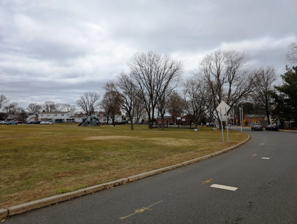 Tree Health Management in Shrewsbury Township NJ: A Fall Review Before Winter