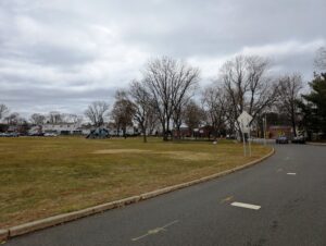 Tree Health Management in Shrewsbury Township NJ: A Fall Review Before Winter