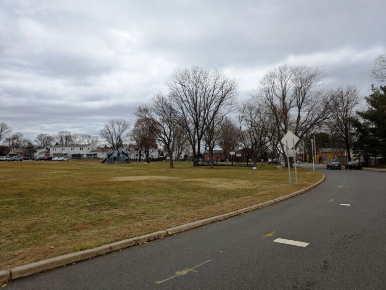 Tree Health Management in Shrewsbury Township NJ: A Fall Review Before Winter