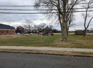 Spring Lake Heights Tree Health Management: Protect Roots Before Winter