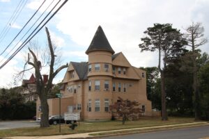 Tree Pruning in West Long Branch NJ: Cut for a Reason Before Winter